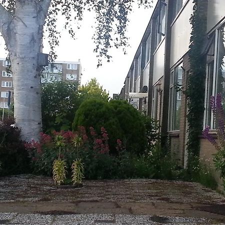 Homestay Dutchable Άλφεν αν ντεν Ράιν Εξωτερικό φωτογραφία